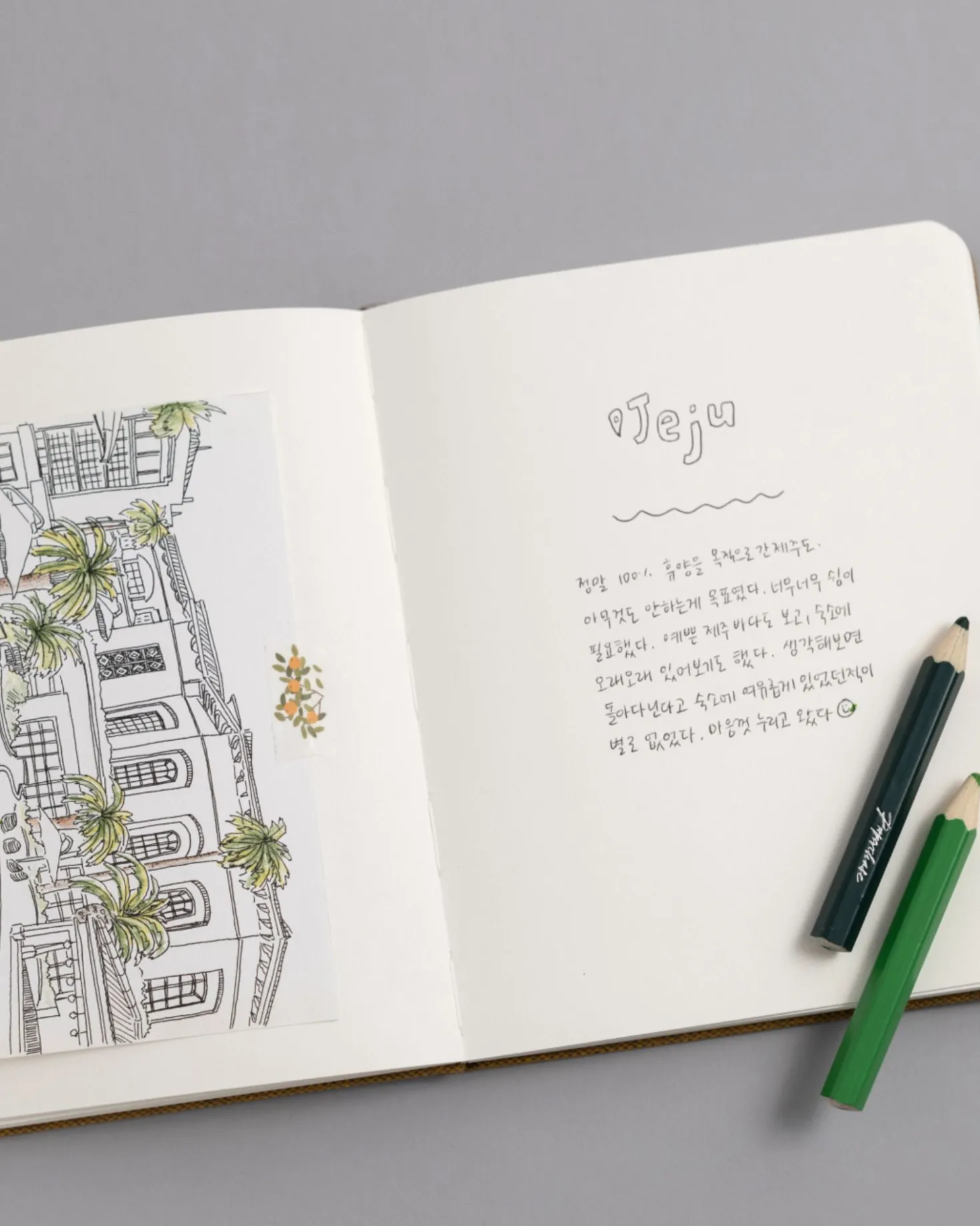Wide Record Hardcover Plain Notebook